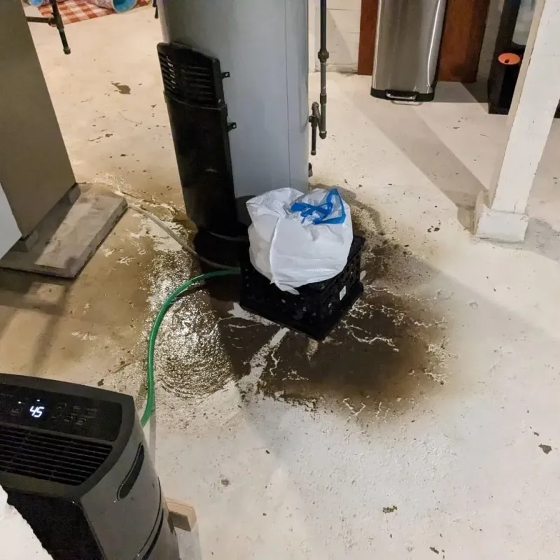 Sewage Backup Cleanup Service in Sublimity, OR